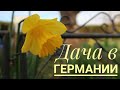 Весенне-полевые работы на даче