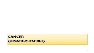 Lecture 11: Cancer