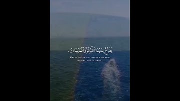 سورة الرحمن | القارئ إسلام صبحي