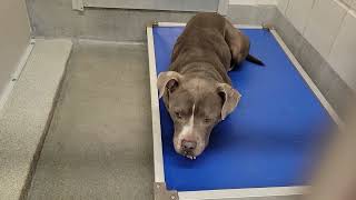acs A678095