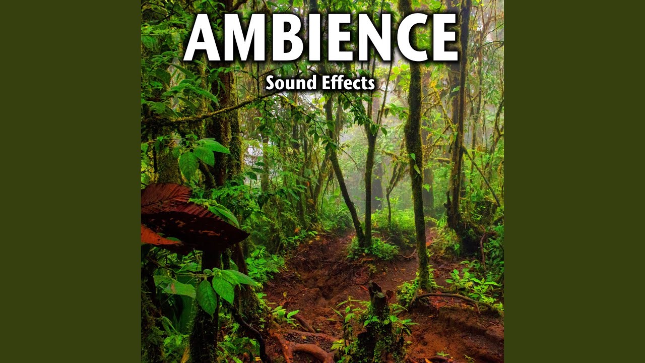 1980's Gambling Casino: General Ambience Near Slot Machines