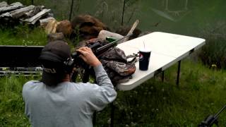Browning semi-auto 300 win mag.