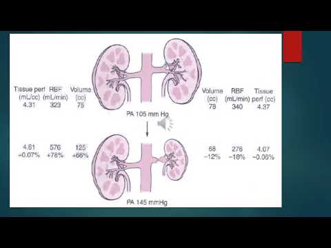 Enfermedad renal vascular