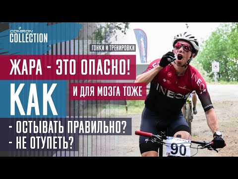 Видео: Наблюдайте за своим велосипедным годом со Strava