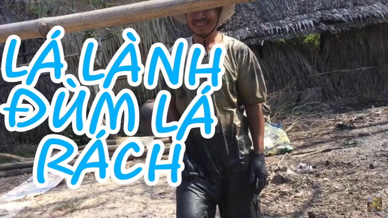 Lá lành đùm lá rách - YouTube