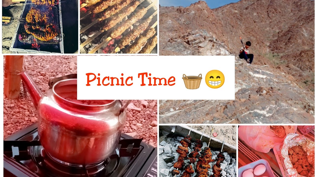 Outdoor Vlog / Picnic Vlog / 2day Outdoor Picnic with Family