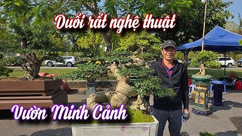 SH.11193. Duối rất nghệ thuật và lô Bonsai đẹp của Cảnh Bình Định tại hội chợ Long Biên 