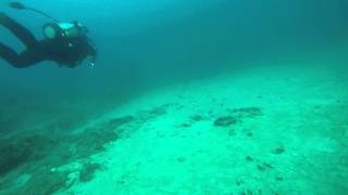 20150904 墾丁 旅潛 超不清楚的魟魚XD