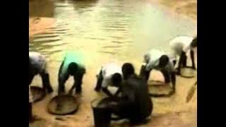 Culture with Joseph hill. War in Sierra Leone.