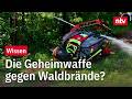 "Superwolf HR1" - ein deutsches Monstrum im Feuerkampf