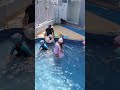 swimming k sath sath masti bhi jaroori hain #swimming #swimmingclass #swimmingtechnique #water
