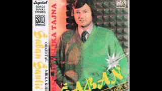 Video thumbnail of "Saban Saulic - Avantura - (Audio 1988)"