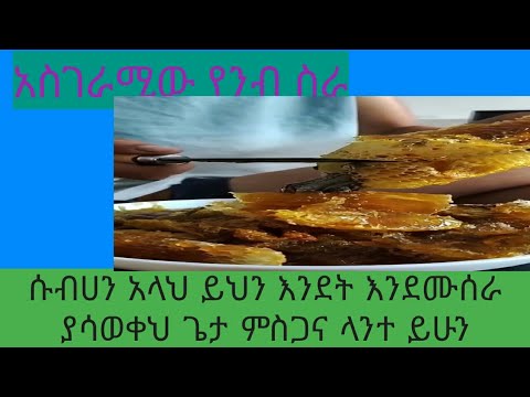 ቪዲዮ: የንብ መንግሥት። ክፍል አራት