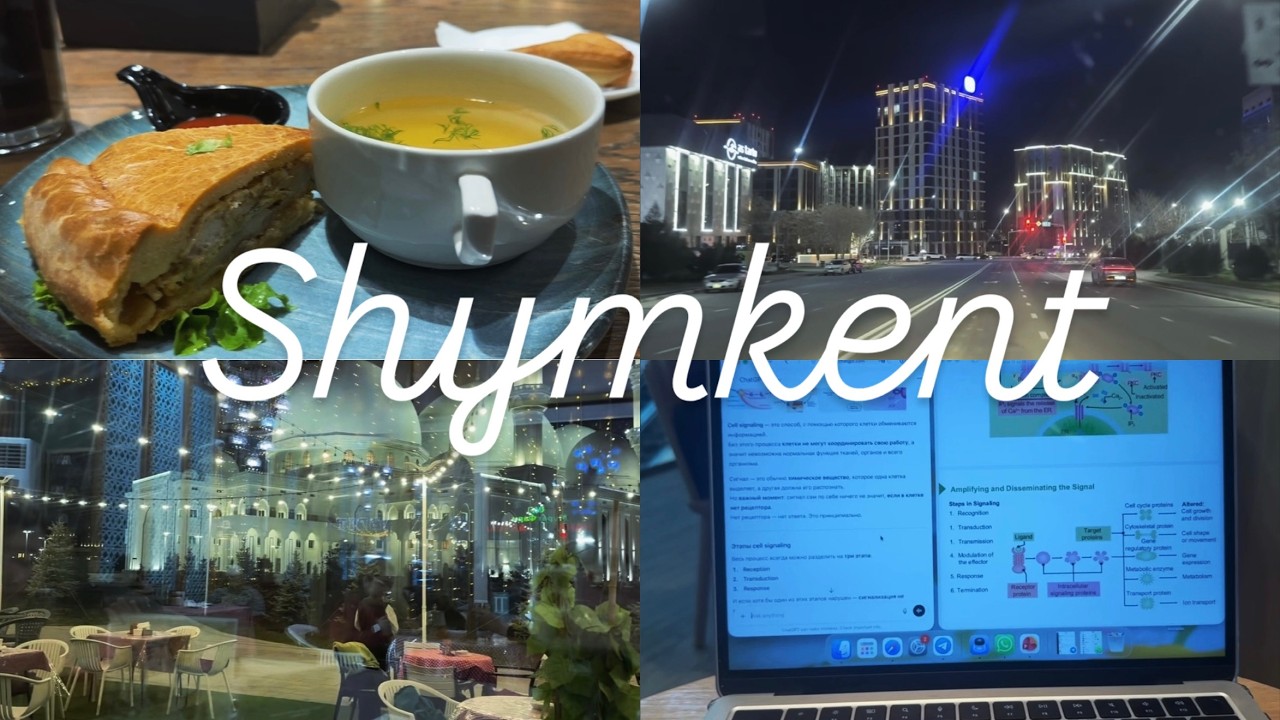 VLOG: дом, семья, дела и теплые встречи