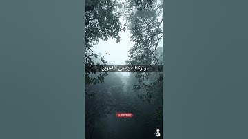 ولقد نادانا نوح فلنعم المجيبون | بصوت #محمد_الفقية #القرآن_الكريم #قرآن #تلاوة_خاشعة  #تلاوات