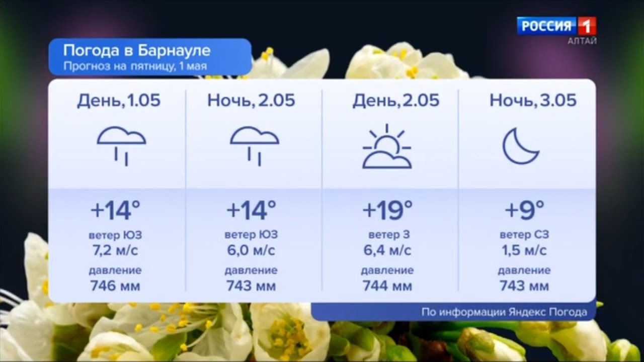 прогноз оле на 10