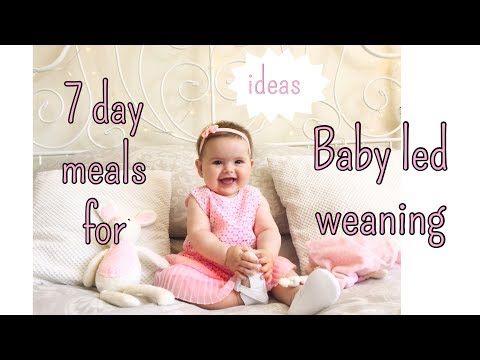 7-baby-led-weaning-meals-7-to-8-months-old