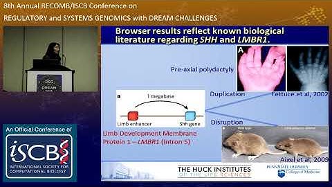Visualizing three-dimensional organization and long-range... - Yanli Wang - RECOMB/RSG 2015