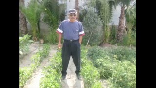 Bi̇r Paket Si̇garaya Bi̇r Büyük Rakiya Ve Bi̇r Gençli̇k Aşkimiza Hasret Kaldikk Resimi