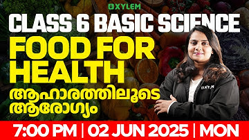 Class 6 Basic Science | Food For Health / ആഹാരത്തിലൂടെ ആരോഗ്യം!! | Xylem Class 6