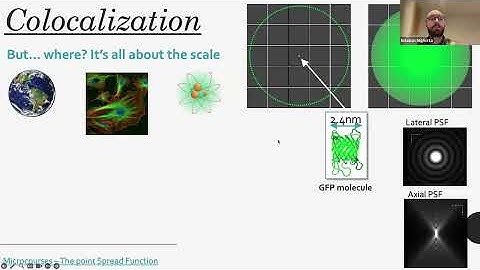 Understanding and Measuring Colocalization in Fiji and CellProfiler