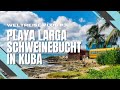 Krokodile und Flamingos Kuba Doku Schweinebucht - Playa Larga Reisebericht - Weltreise VLOG #3 4K