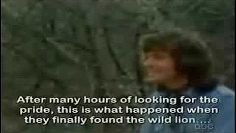 Christian The Lion - Reunited - From "The View"