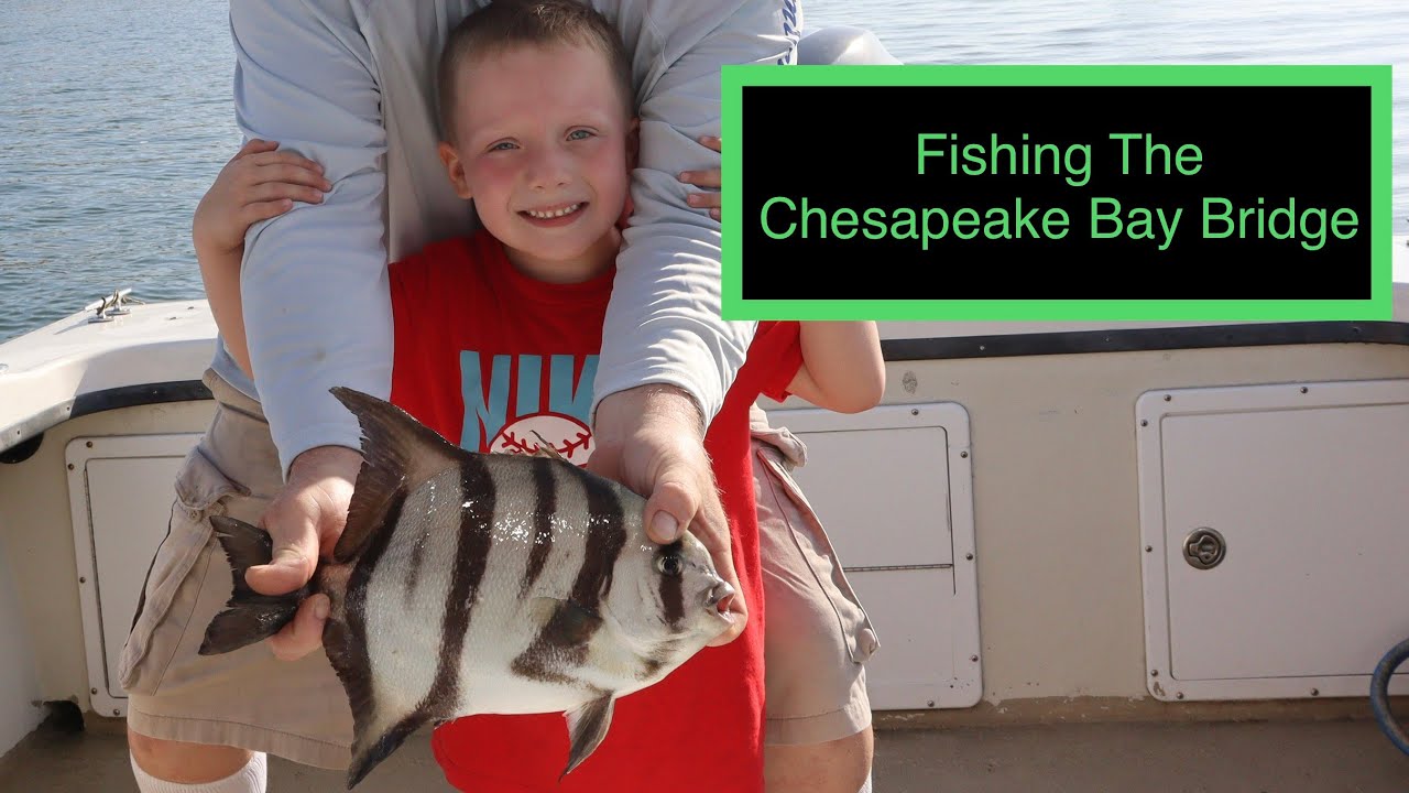 5 Year Old Fishing The Chesapeake Bay Bridge - Spade Fish and Spanish