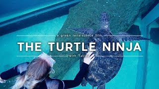 Rescue & Release: Her Lifelong Mission to Heal Wild Turtles