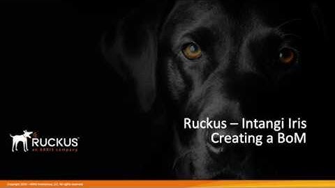 Ruckus - Intangi Iris Part 10 - Creating a BoM