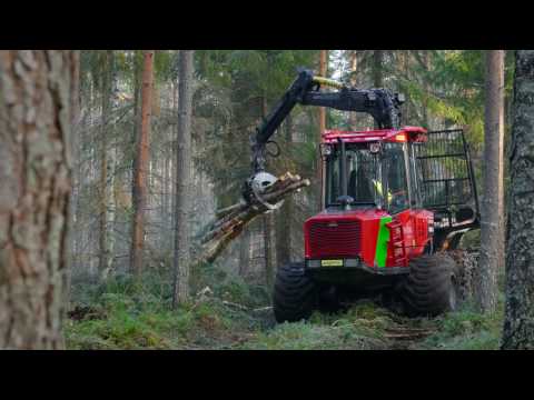 Video: Metsä Käyttöesineenä