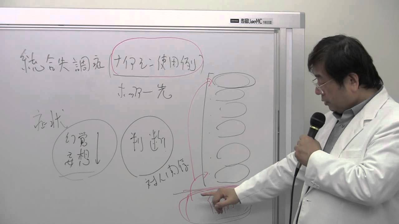 統合失調症 ナイアシン使用例 2 2 Youtube