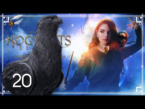 Le permis Hippogriffe ! • Hogwarts Legacy || Let's Play Harry Potter n°20