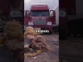 Truck Insurance in West Lafayette, IN Protecting Your Investment