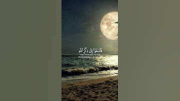 تلاوة خاشعة وهادئة بصوت رعد الكردي 🌱🫀.
