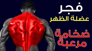 افضل تمارين لتضخيم عضلات الظهر (جدول تدريبي )Back Workout Ranked (كمال أجسام )