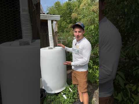 Wideo: Kolekcja wody deszczowej - Zbieranie wody deszczowej za pomocą beczek deszczowych