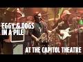 "Black Friday" → "Bird Song" - Eggy & Dogs In a Pile (Grateful Dead Cover) | The Capitol Theatre
