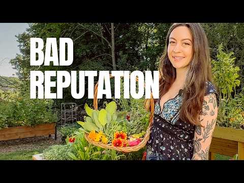 Planting and Growing Mint in a Herbal Tea Garden | Growing My Own Herbal Teas