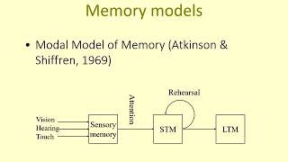 PSY 3620 MEMORY COGNITION and AGING 20 rec