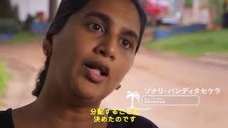 Dr. Bronner’s Japan（ドクター ブロナー）: Journey To Serendipol with Japanese subtitles