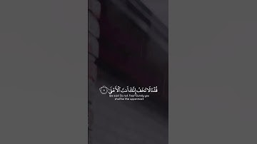 فأوجس في نفسه خيفة موسى  قلنا لا تخف إنك أنت الأعلى | سورة طه | القارئ شريف مصطفى