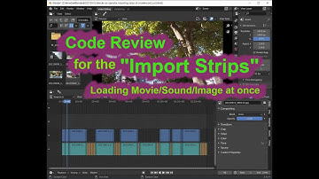 The code review for the “Import Strips” operator - Blender VSE