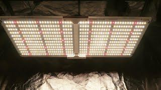 Spider Farmer SF-2000 LED Grow Light Unboxing, PAR Test & Heat Test!