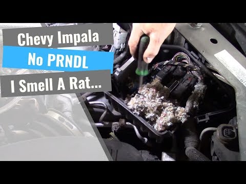 Chevrolet Impala: No PRNDL Display