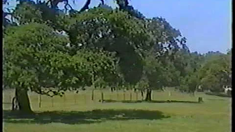 The Old Bossert Ranch