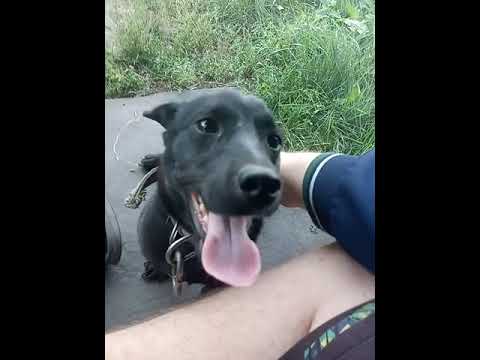 Гоша самый лучший