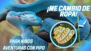 ¿Por Qué Las Serpientes Cambian De Piel? La Muda Para Niños🐍/Aventuras Con Pipo by Aventuras con Pipo 1,145 views 1 month ago 3 minutes, 40 seconds