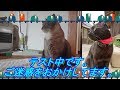 テスト中
