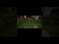 Minecraft but it’s impossible to die#minecraft